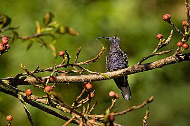 《LOOP8 降神》“朔夜”介绍影片公布 游戏明年3月发售
